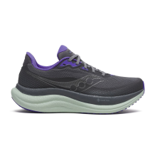 Saucony Triumph 23 GTX (S11025-01)