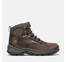 Timberland Chocorua Hiking Boot (TB1156312421)