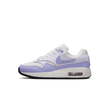 Nike Air Max 1 (DZ3307-011)