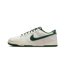 Nike Dunk Low Retro (HF5441-115)