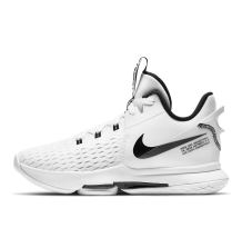 Nike LeBron Witness 5 EP (CQ9381-101)