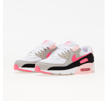 Nike Air Max 90 WMNS (DM3051 100)