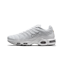 Nike Air Max Plus (604133-139)