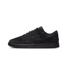 Nike Dunk Low Retro SE (IB6651001)