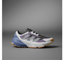 adidas Originals Adistar COLD.RDY (HP8046) in grau