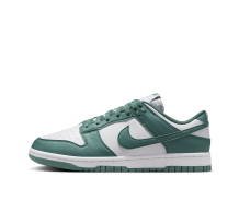 Nike Dunk Low Next Nature Bicoastal (DD1873-107)