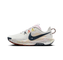 Nike Pegasus Trail 5 (DV3865-102)