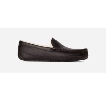 UGG Ascot (5379-DSP)