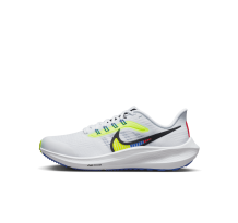 Nike Air Zoom Pegasus 39 (DM4015-100)