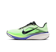 Nike Pegasus 42 (IB1873-702)