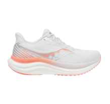 Saucony Triumph 23 (S11023-244)