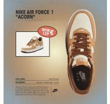 Nike Air Force 1 Low Acorn (DJ6395 100)