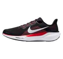 Nike Pegasus 41 (FD2722-003)