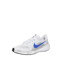 Nike Pegasus 41 (FD2722-110)