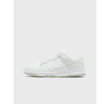 Nike Dunk Low Next Nature Mint (DN1431-102)