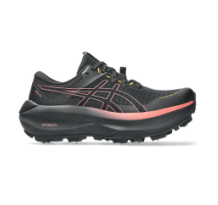 Asics Fujisetsu Max GTX (1012B893-001)