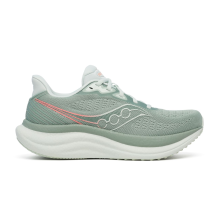 Saucony Triumph 23 (S11023-224)