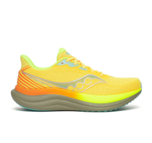 Saucony Triumph 23 (S21023-144)