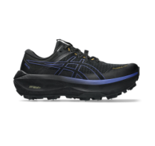 Asics Fujisetsu Max GTX (1011C115-001)