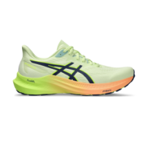 Asics GT 2000 12 (1011B691-302)