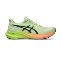 Asics GT 2000 12 (1012B506-303)