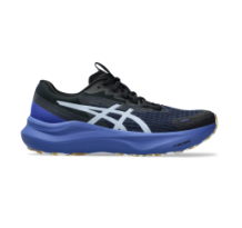 Asics GT 2000 14 Lite Show (1011C128-400)