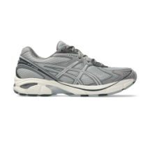 Asics GT 2160 (1203A605-020)