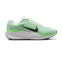 Nike Winflo 11 Air (FJ9509-302)