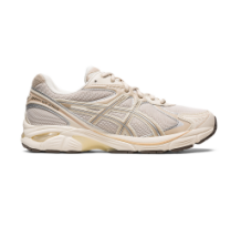 Asics GT 2160 (1203A320-250)