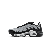 Nike Air Max Plus Metallic Silver GS (CD0609-018)