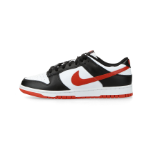 Nike Dunk Low Retro (DV0833-108) in weiss