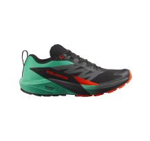 Salomon Sense Ride 5 (L47698200)