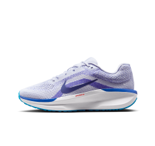 Nike Winflo 11 (FJ9509-006)