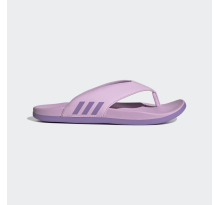 adidas Comfort adilette (HQ6880)