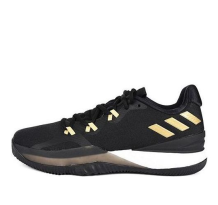 adidas Crazylight Boost 2018 (AC8365)