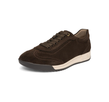 ARA low (12-29301-03)