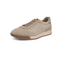 ARA low (12-29301-05)