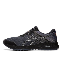 Asics Alpine XT 2 (1011A564-020) in grau