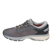 Asics Gel Kayano 25 Carbon (1012A026-020)