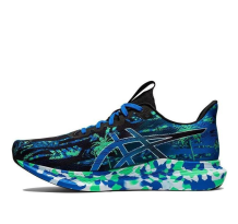 Asics Noosa Tri 14 (1011B368-002)