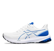 Asics GT 1000 12 (1011B631-100)