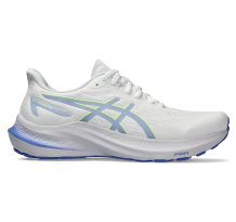 Asics GT 2000 12 (1012B506-102)