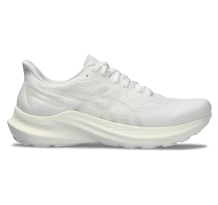Asics GT 2000 12 (1012B506-103)
