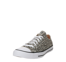 Converse Chuck Taylor All Star (A14941C)