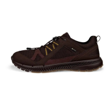 Ecco Terracruise ll TEX GTX 2025 (843064-58290) in braun