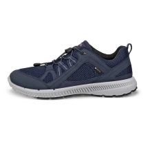 Ecco Terracruise ll W TEX GTX (843063-56702) in blau