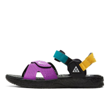 Nike ACG Air Deschutz Vivid (CT2890-002)