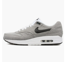 Nike Air Max 1 Canvas Picnic Pack (512033 103)