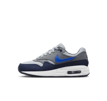 Nike Air Max 1 (DZ3307-007) in grau