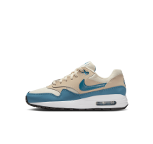 Nike Air Max 1 (DZ3307-012)